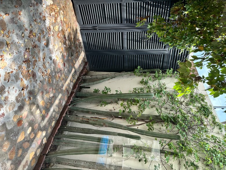Casa Aqua — 12 photos