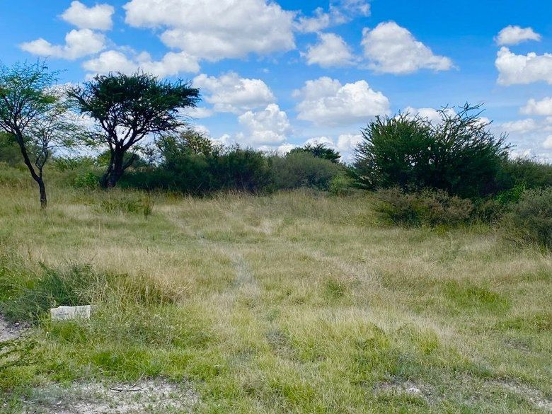 Lote Xote — 10 photos