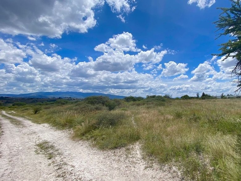 Lote Xote — 7 photos