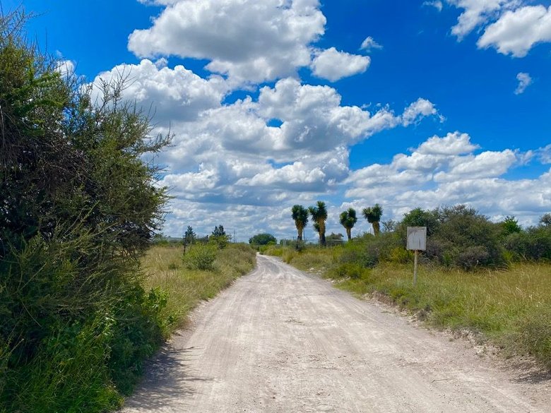 Lote Xote — 4 photos