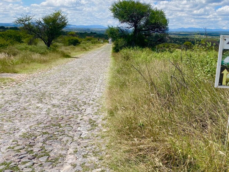 Lote Xote — 11 photos