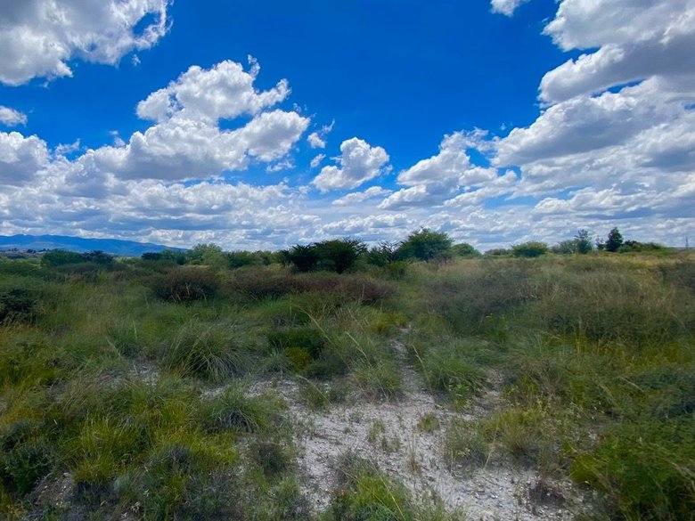 Lote Xote — 8 photos