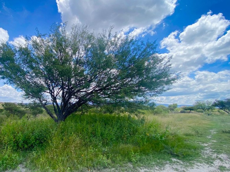 Lote Xote — 3 photos