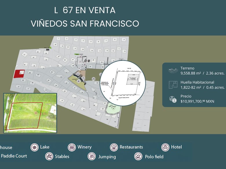 L67 VIÑEDOS SAN FRANCISCO — 1 photos