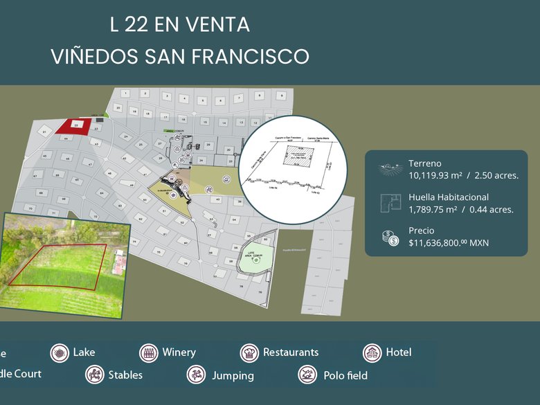 L22 VIÑEDOS SAN FRANCISCO — 1 photos