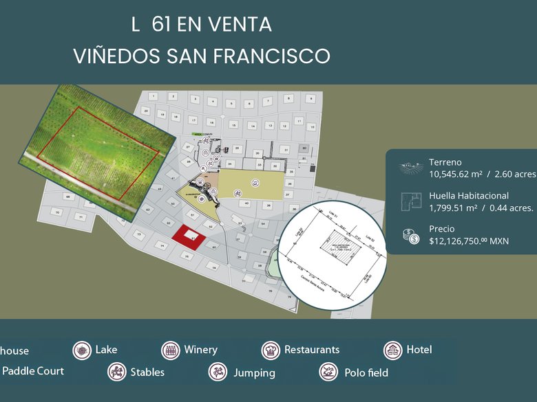 L61 VIÑEDOS SAN FRANCISCO — 1 photos