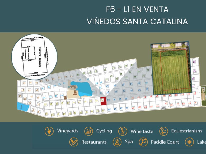 F6 - L1 VIÑEDOS SANTA CATALINA — 1 photos