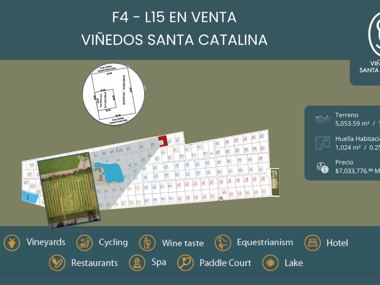 F4 - L15 VIÑEDOS SANTA CATALINA — 1 photos