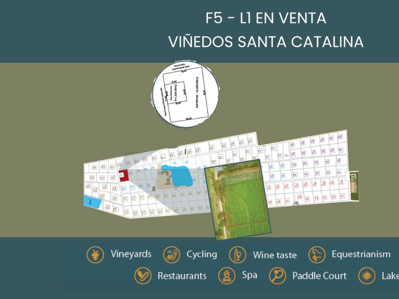 F5 - L1 VIÑEDOS SANTA CATALINA — 1 photos