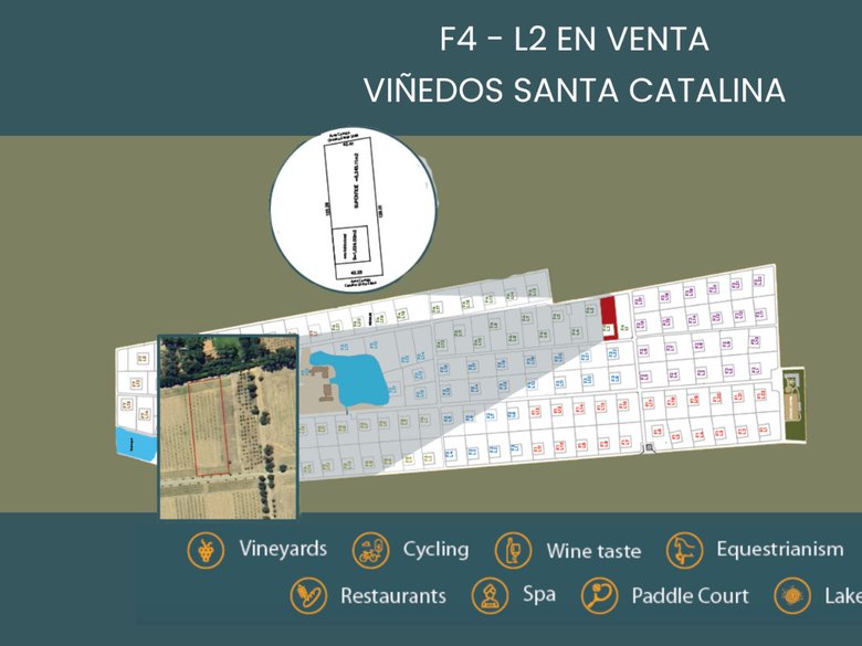 F4 - L2 VIÑEDOS SANTA CATALINA — 1 photos