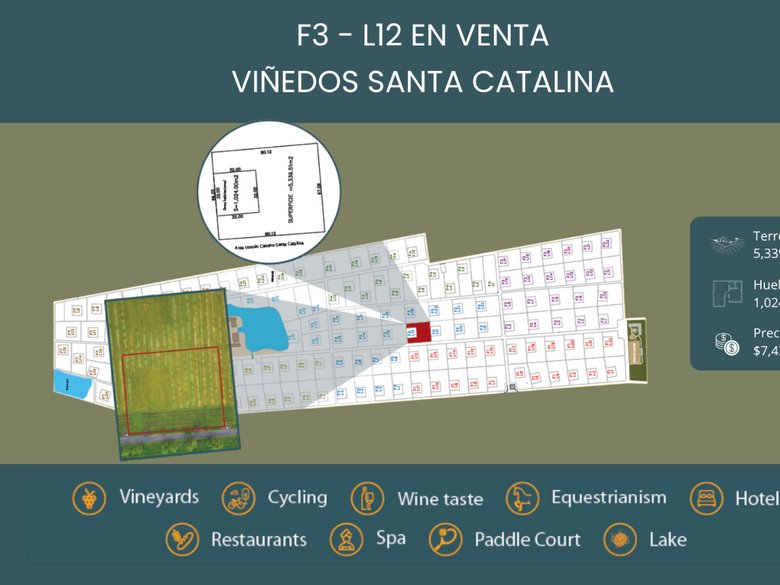 F3 - L12 VIÑEDOS SANTA CATALINA — 1 photos