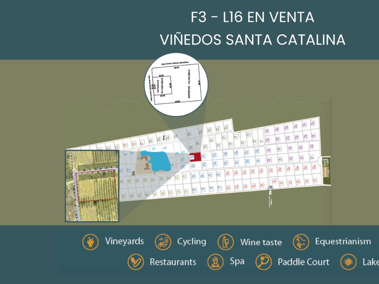F3 -L16 VIÑEDOS SANTA CATALINA — 1 photos