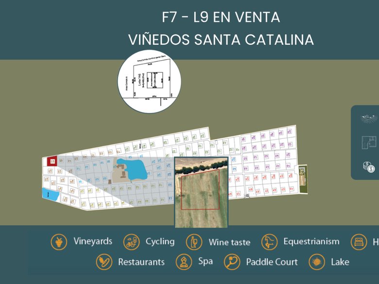 F7 - L9 VIÑEDOS SANTA CATALINA — 1 photos