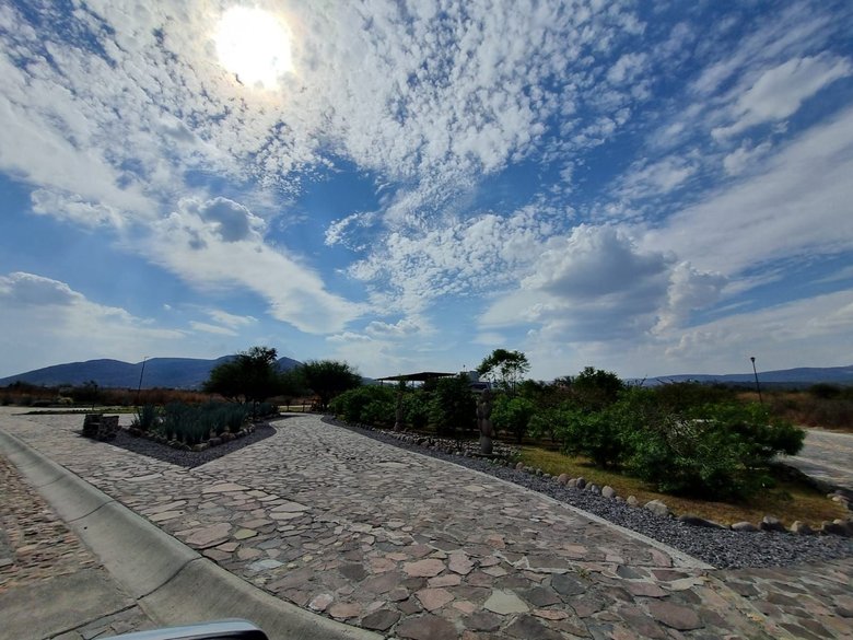 Lote Martorell — 14 photos