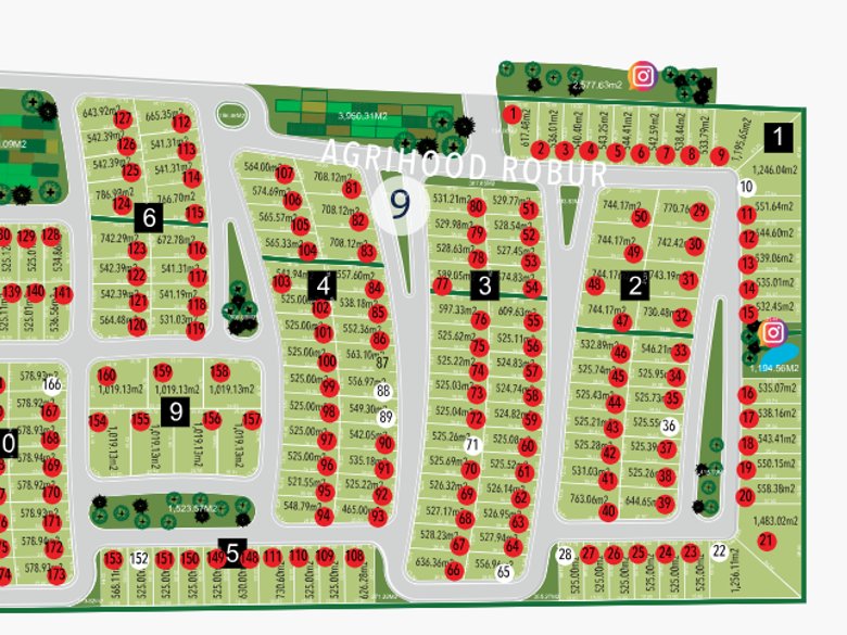 Lote Martorell — 2 photos