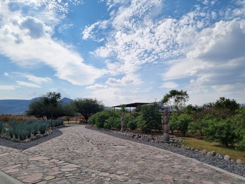 Lote Martorell — 12 photos
