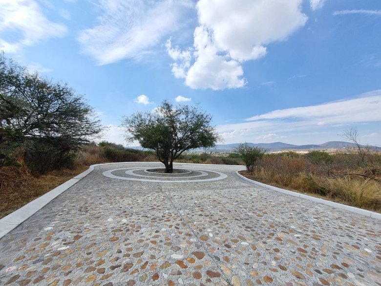 Lote Martorell — 8 photos