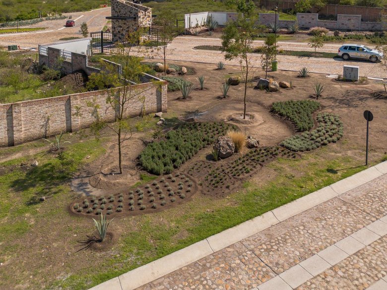 Lote Martorell — 17 photos
