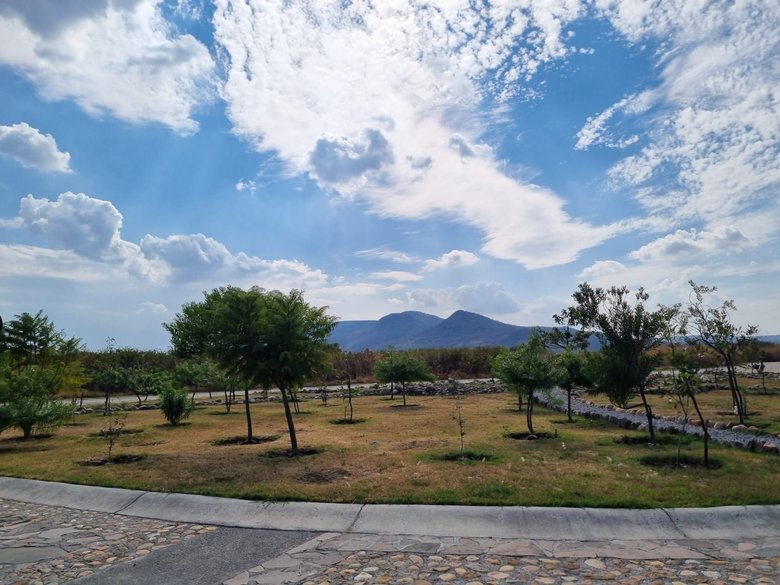 Lote Martorell — 9 photos