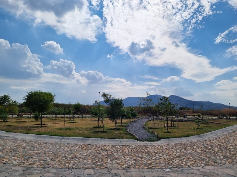 Lote Martorell — 11 photos