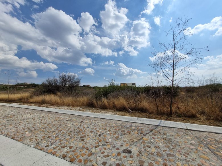 Lote Martorell — 5 photos