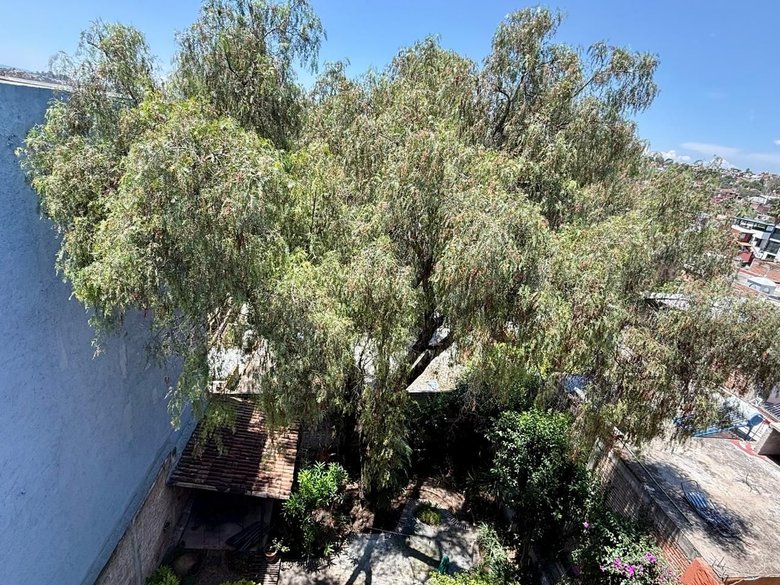 VENTA DEPARTAMENTO 3 N GUADALUPE — 13 photos