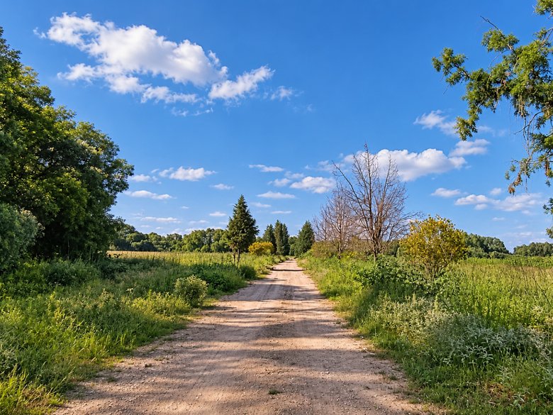 Rancho Palma Gorda — 2 fotos