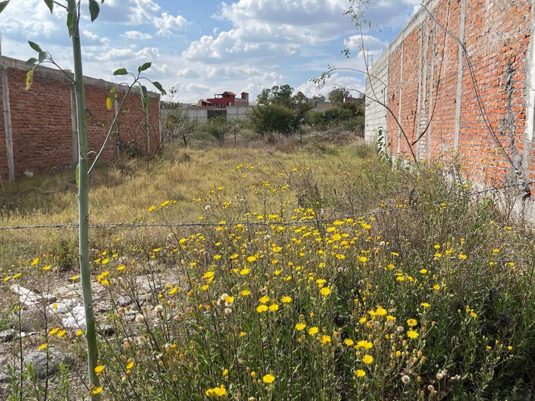 Saltito de Guadalupe Lot — 8 photos