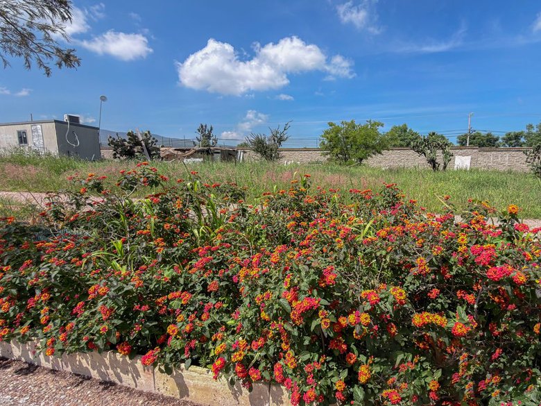 Terreno Sahai — 4 photos