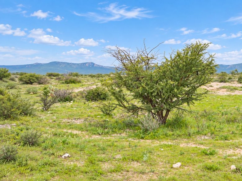 Lote Los Ranchos — 6 photos