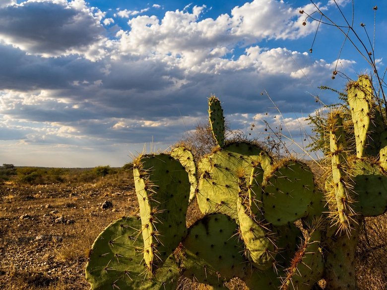 Lote Los Ranchos — 25 photos