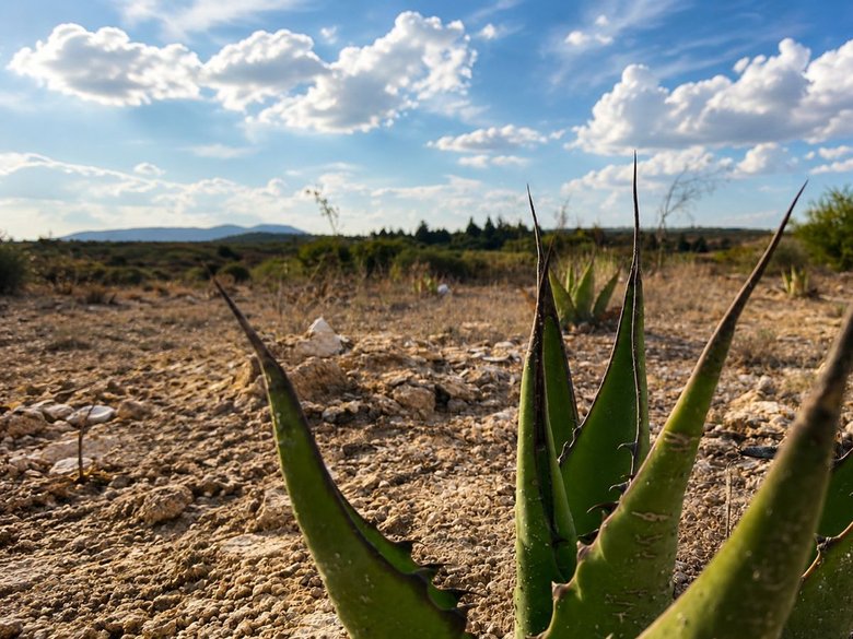 Lote Los Ranchos — 12 photos