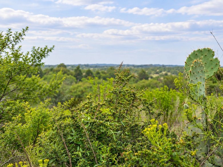 Lote Los Ranchos — 8 photos