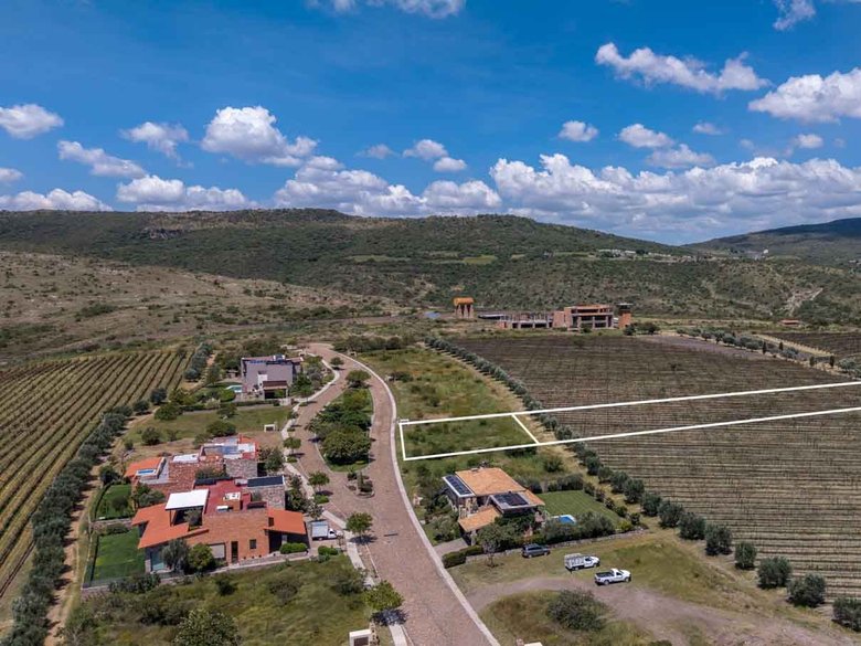 Viñedo San Miguel Lot — 9 photos