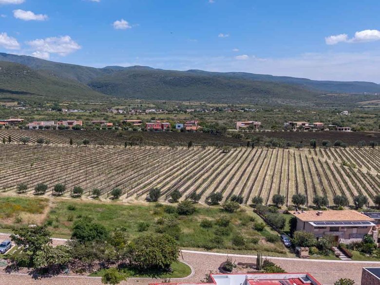 Viñedo San Miguel Lot — 10 photos