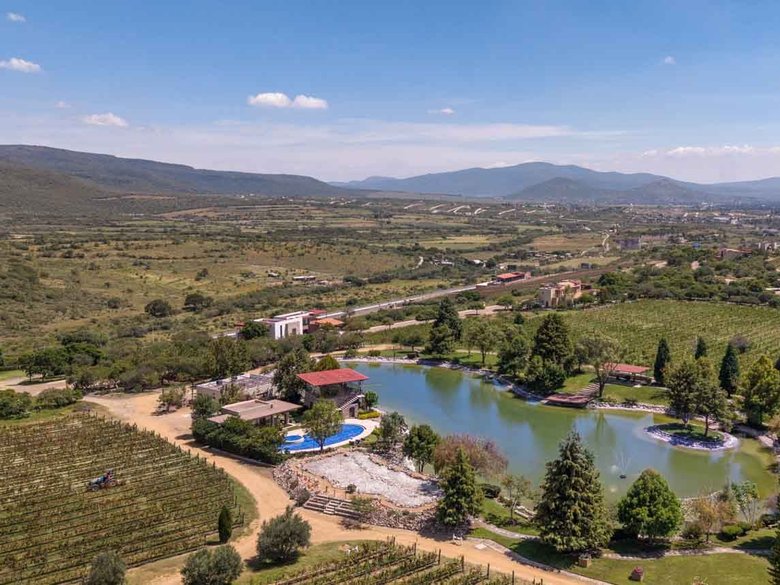 Viñedo San Miguel Lot — 12 photos