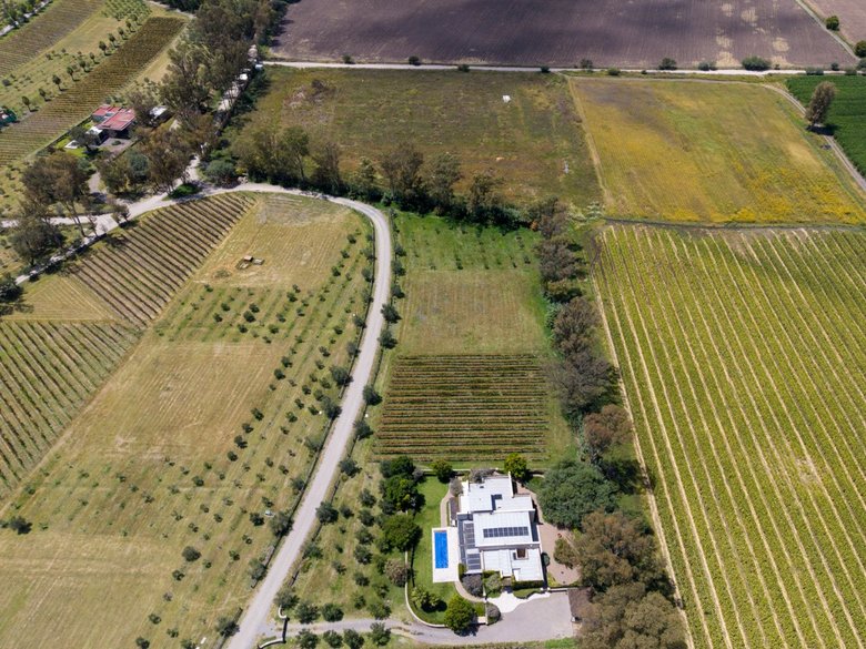San Francisco Vineyards Lot 1 — 12 photos