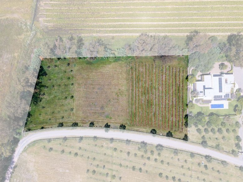 San Francisco Vineyards Lot 1 — 7 photos
