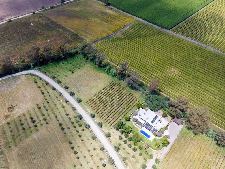 San Francisco Vineyards Lot 1 — 11 photos