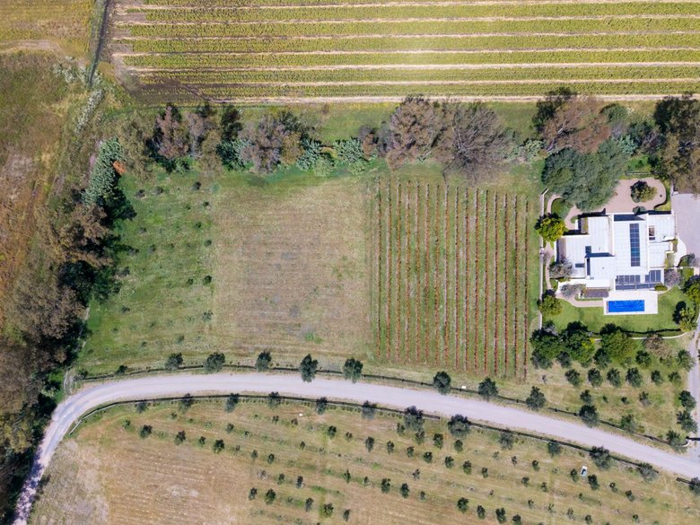 San Francisco Vineyards Lot 1 — 6 photos