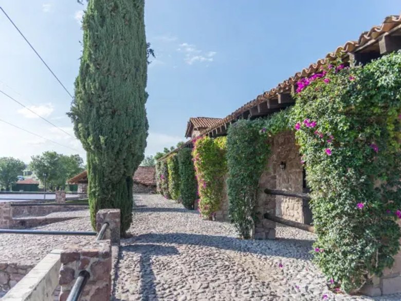 Lote Cané Rancho La Loma — 12 photos