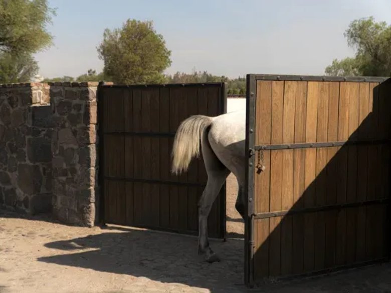 Lote Cané Rancho La Loma — 9 photos