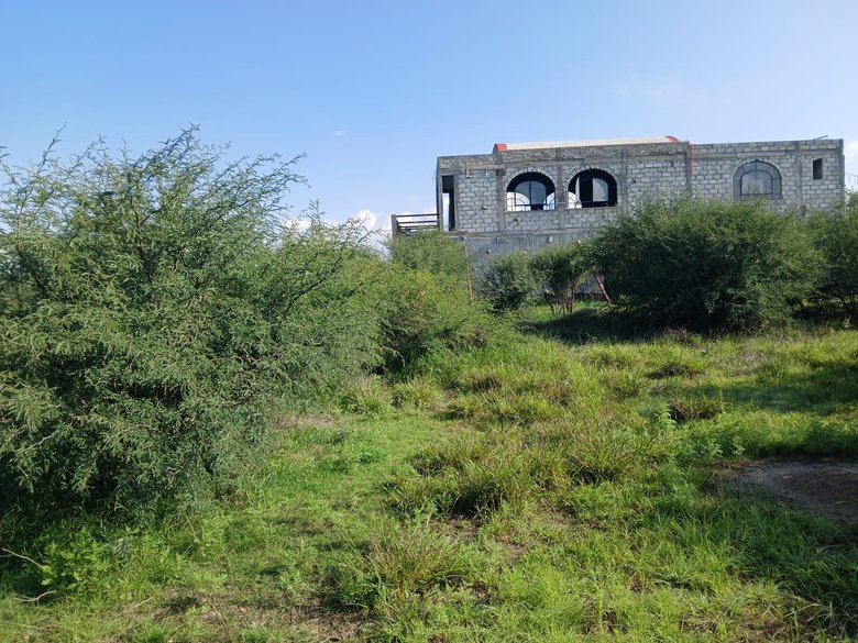 Lote Sol — 6 photos
