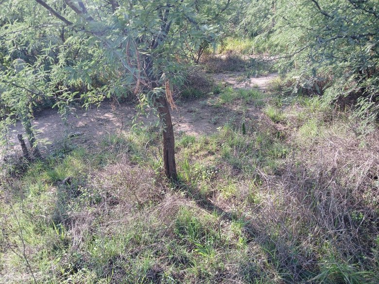 Lote Sol — 4 photos