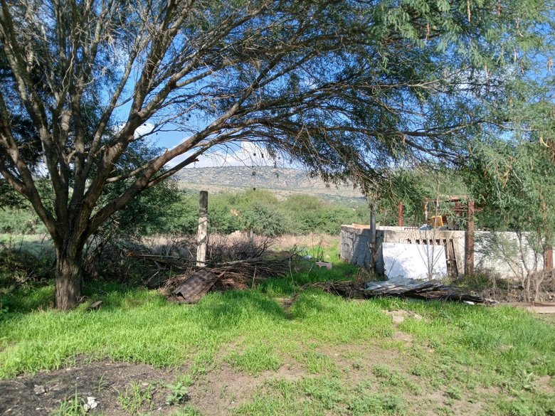 Lote Sol — 2 photos