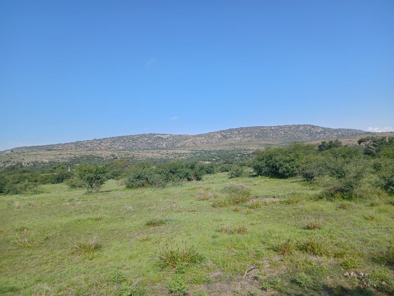 Lote Sol — 5 photos