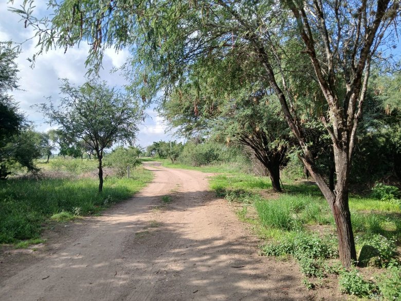Lote Sol — 3 photos